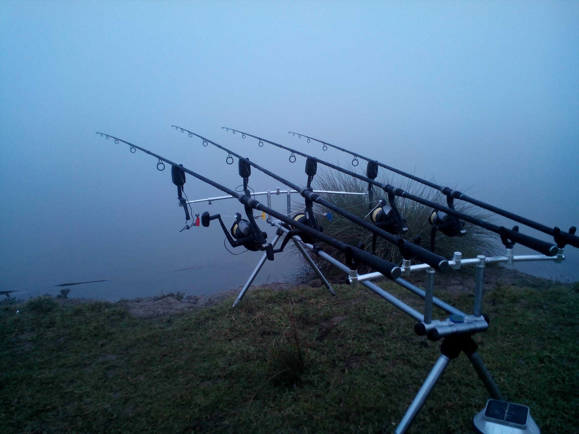 Pescuit la Crap - Noiembrie 2015